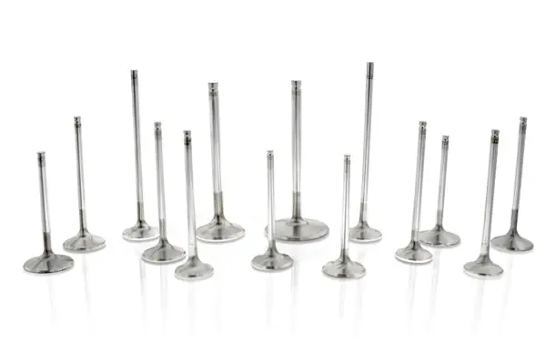 Premium Ferrea VW 1.8T 20V 26.9mm 5.97mm 105.1mm 24 Deg S-Flo Stk Grv Comp Plus Intake Valve - Set of 12